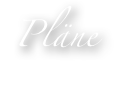 Pläne
- unser Nachwuchs -